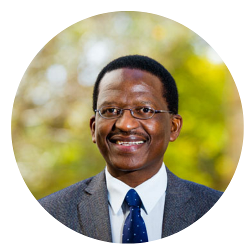 Dr Sizwe Mabizela